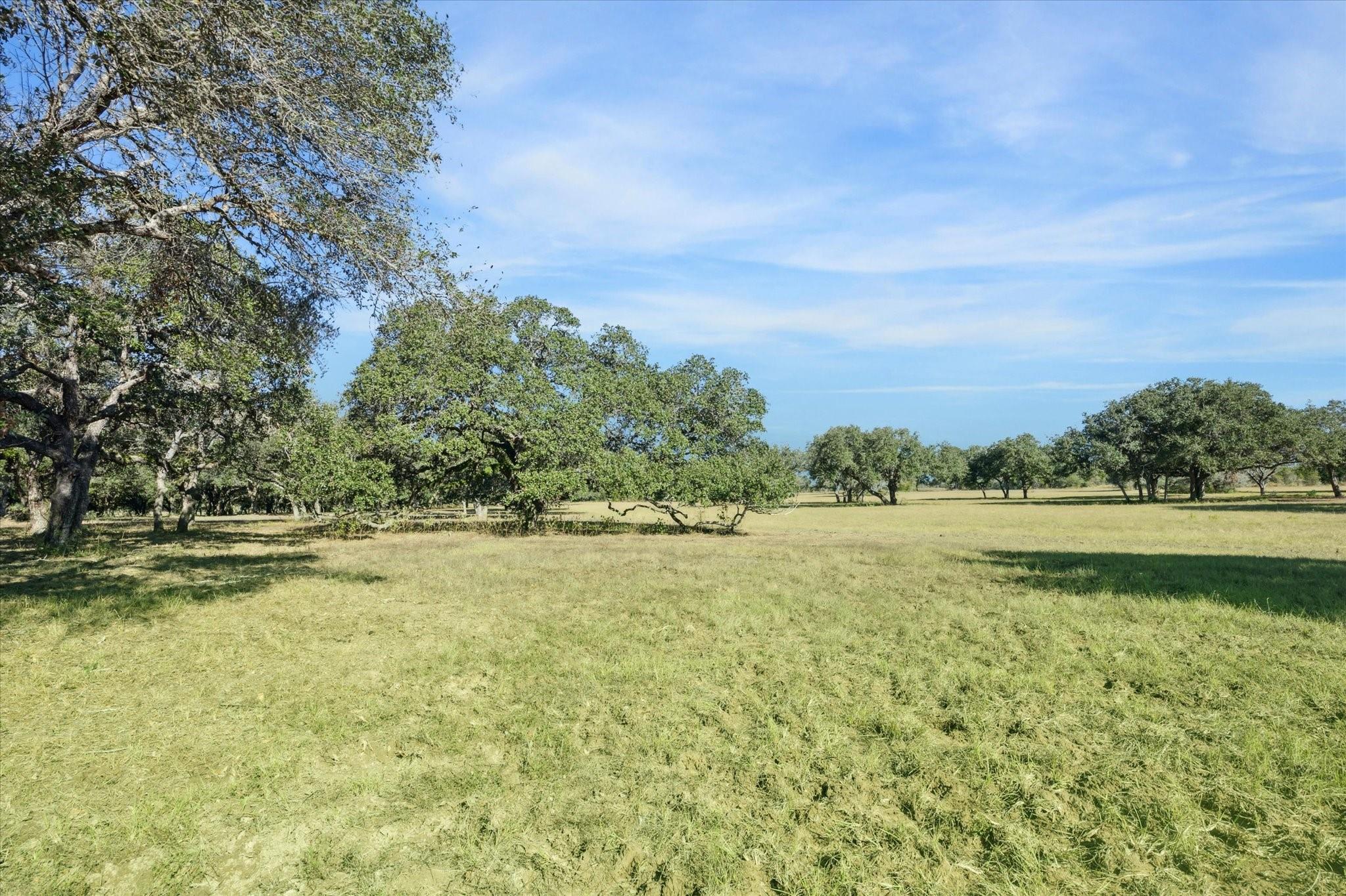 000 Koeppens Trail