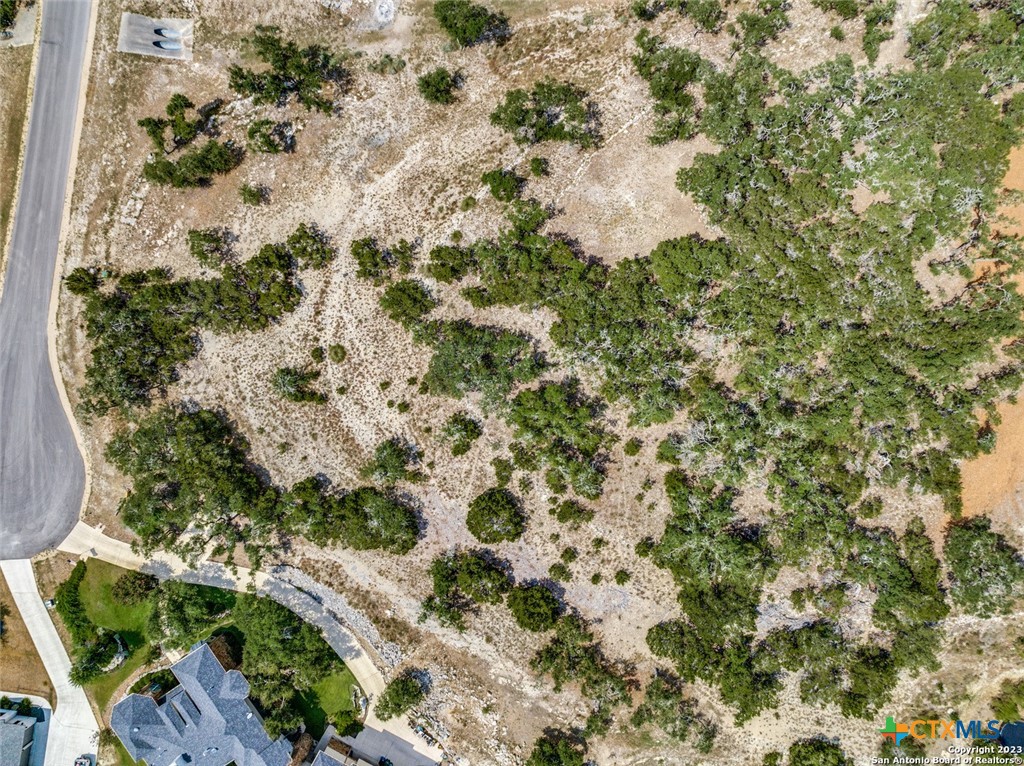 1817 Mountain Springs