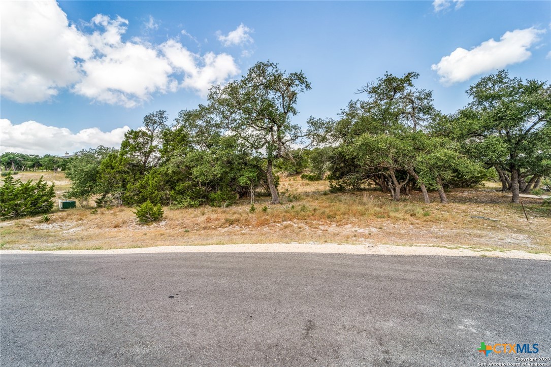 1817 Mountain Springs