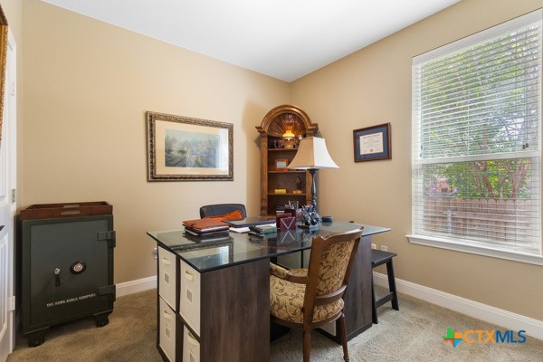 706 Cavallo Springs Cove