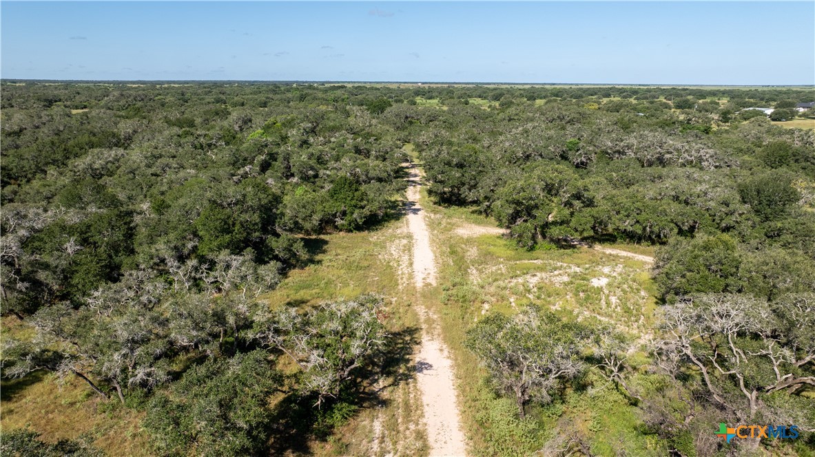 000 Pura Vida Road