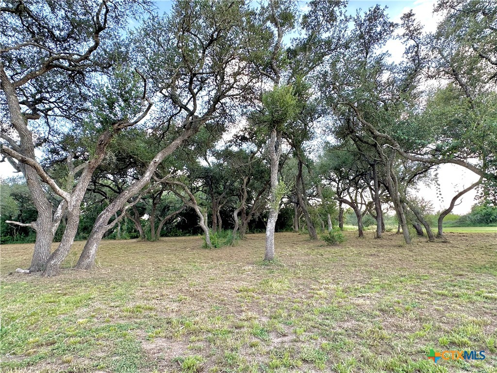3382 Drive