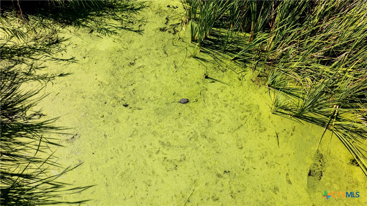 8036 State Highway 316