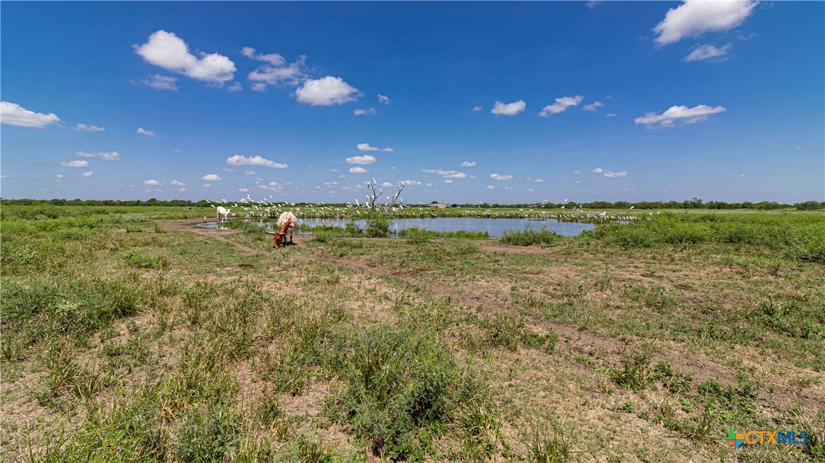 000 Morris Town Road