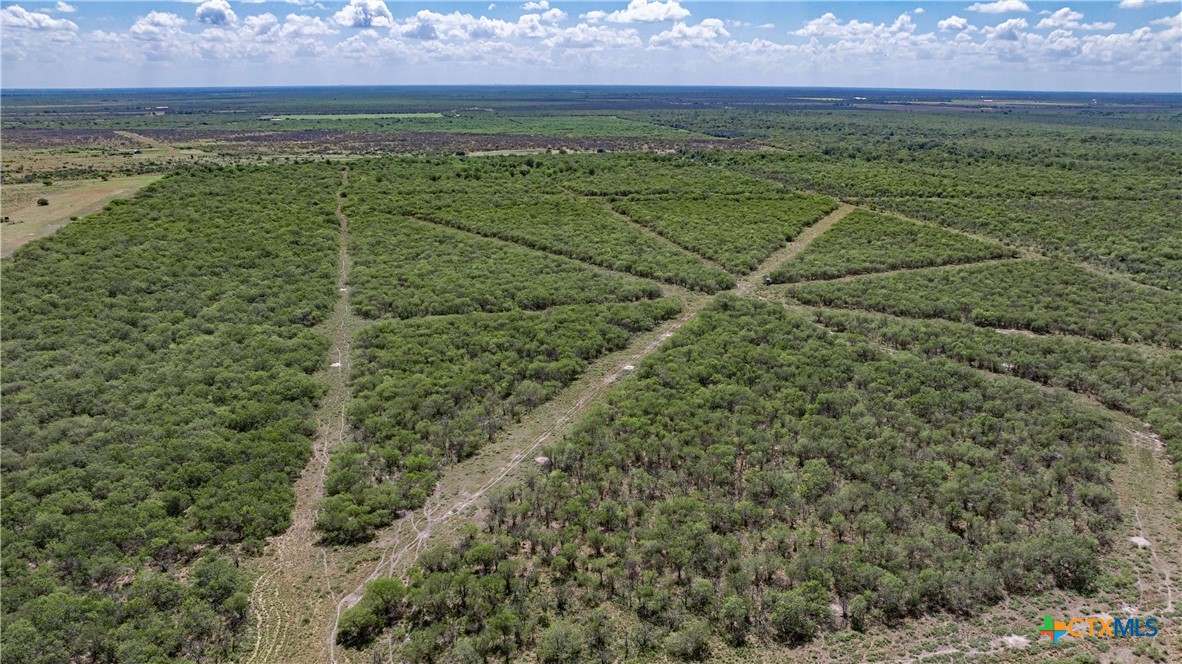 000 Morris Town Road