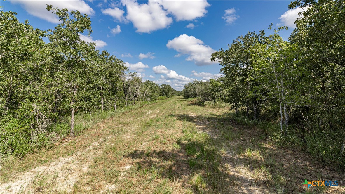 166 Mcguill Road