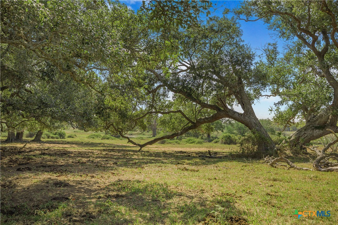 1733 County Road 284