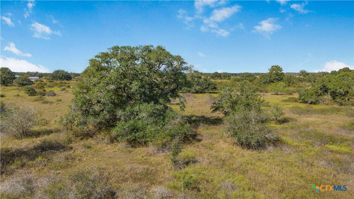 1733 County Road 284