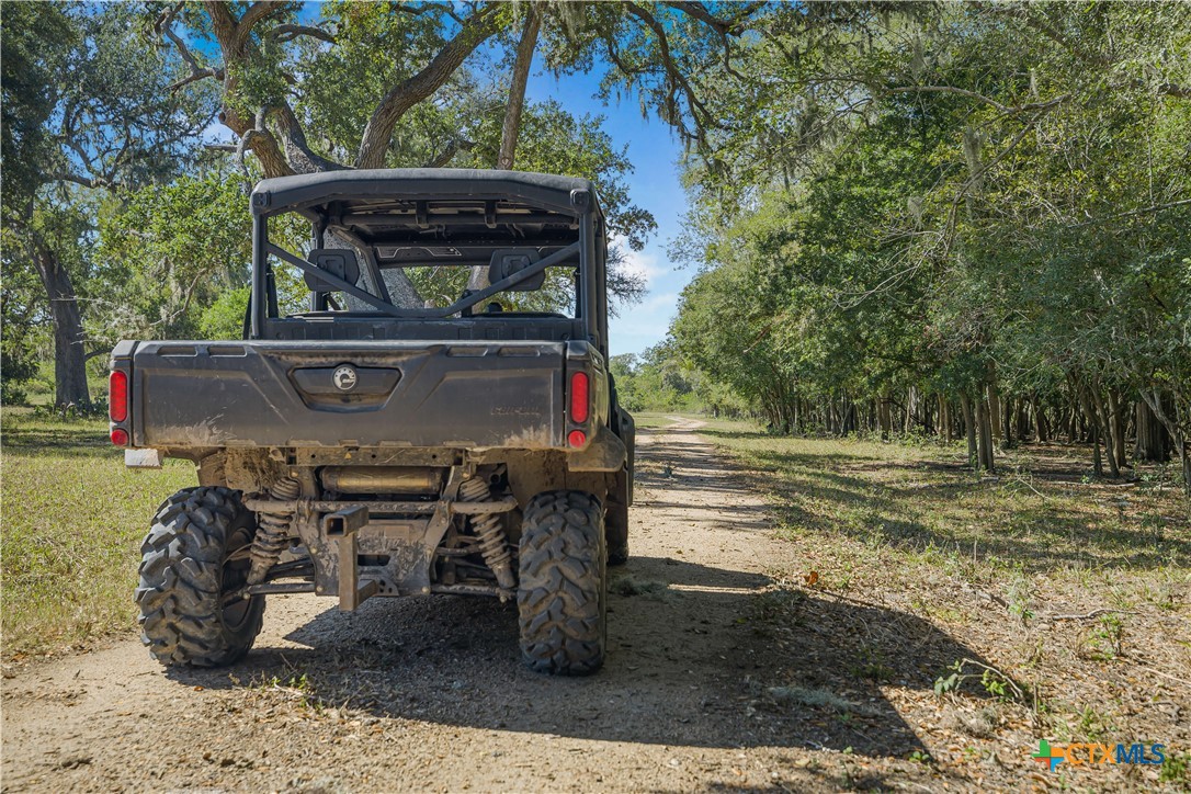 1733 County Road 284