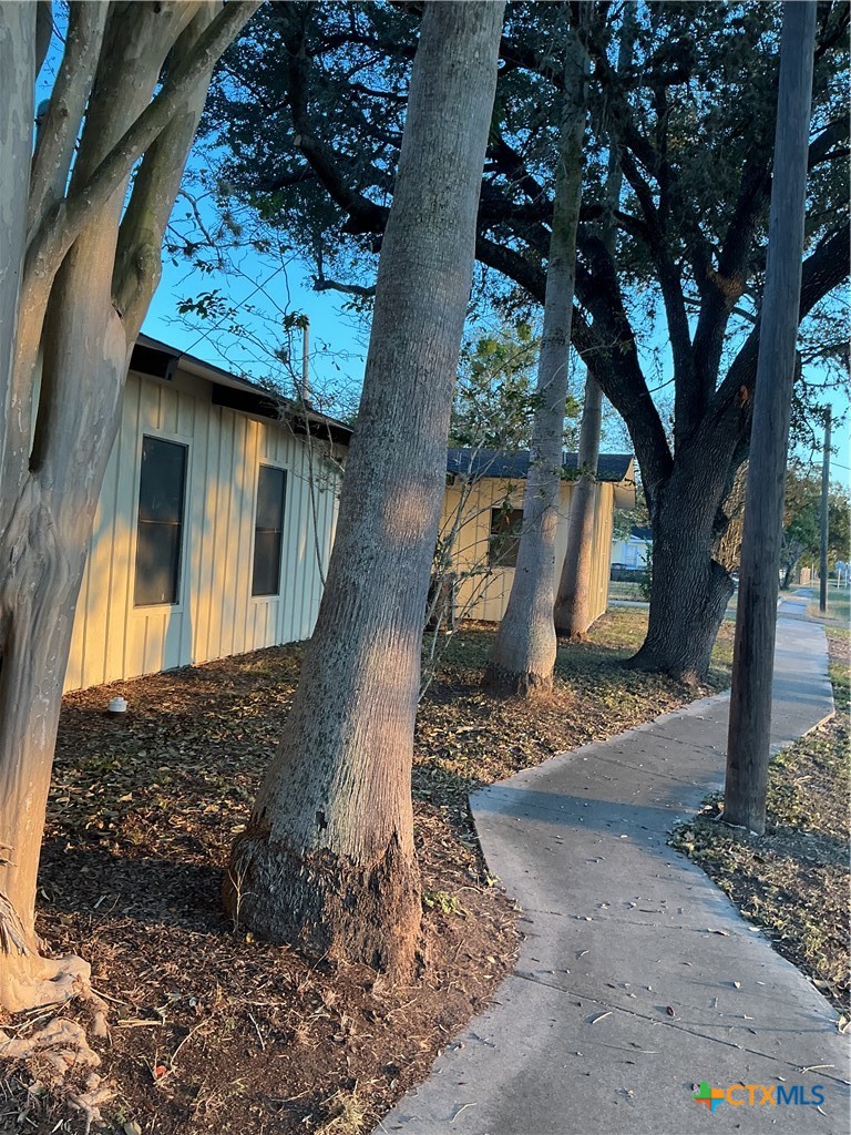 407 Wisteria Avenue