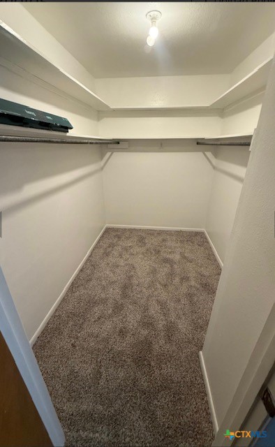 302 Palmwood Drive D