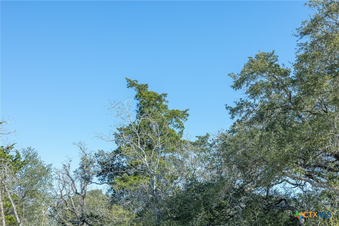 000 Garcitas Creek Ranch Road BLK 3 Lot 10