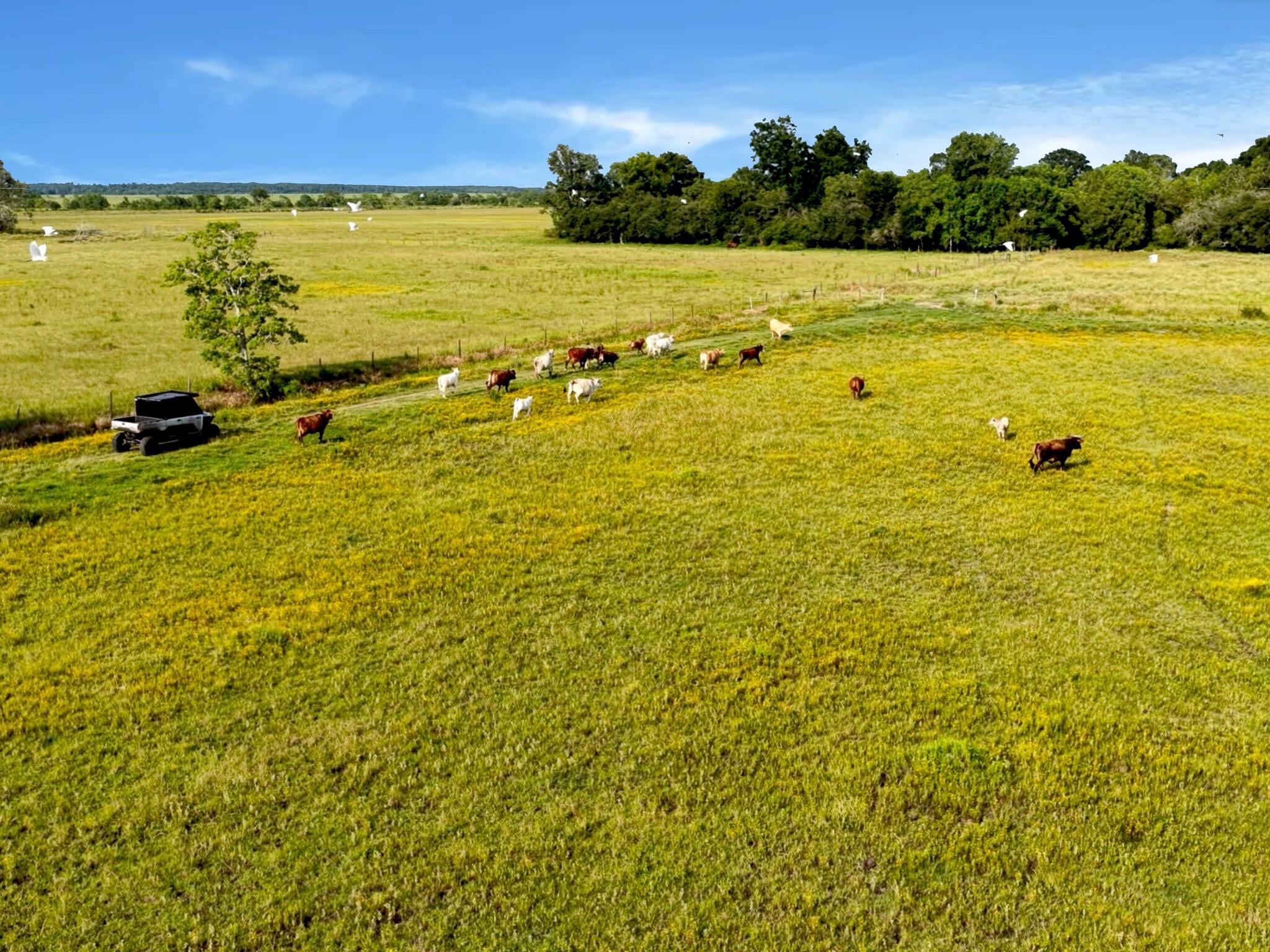 TBD Barrow White Rd