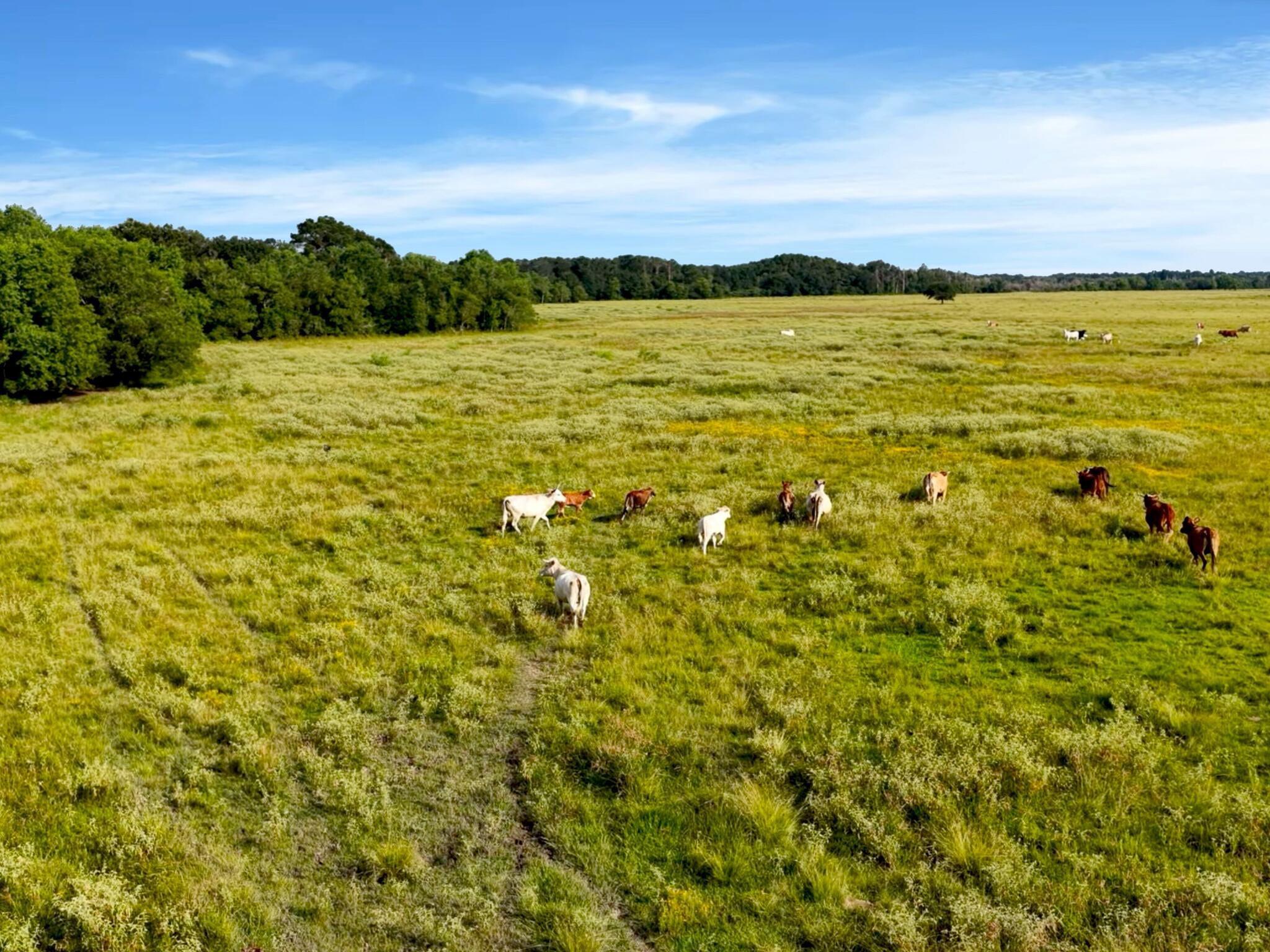 TBD Barrow White Rd