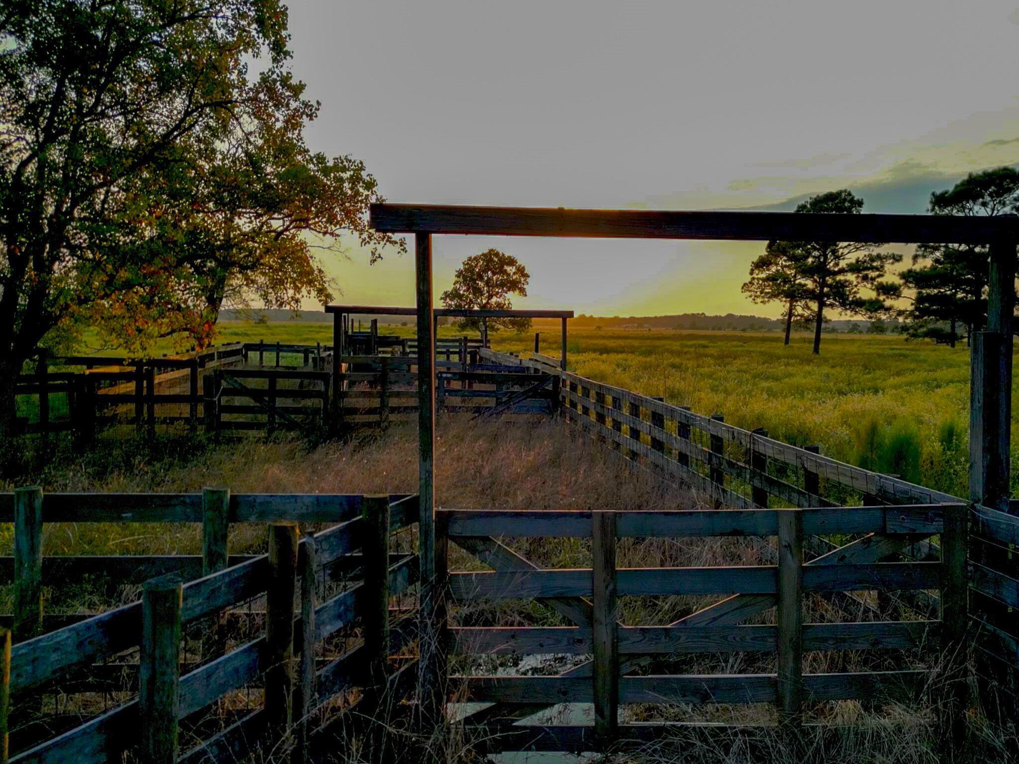 TBD Barrow White Rd