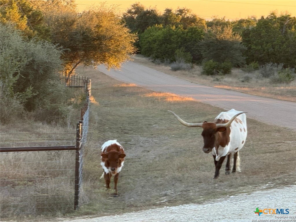 1041 Homestead Ridge