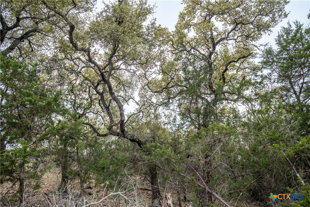 Lot 94 Hidden Cove