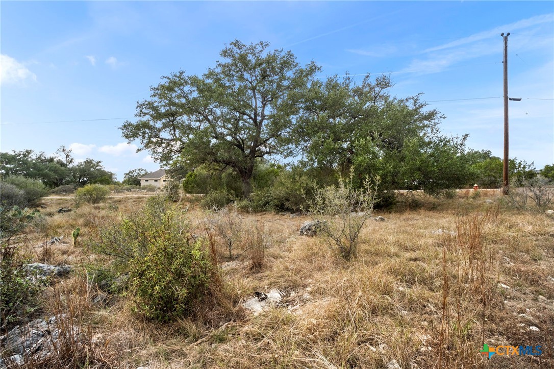 137 Red Tail Cove