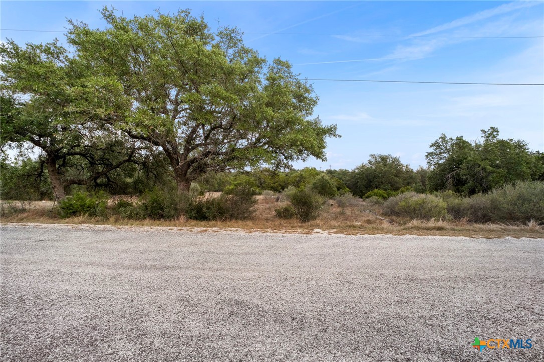 137 Red Tail Cove