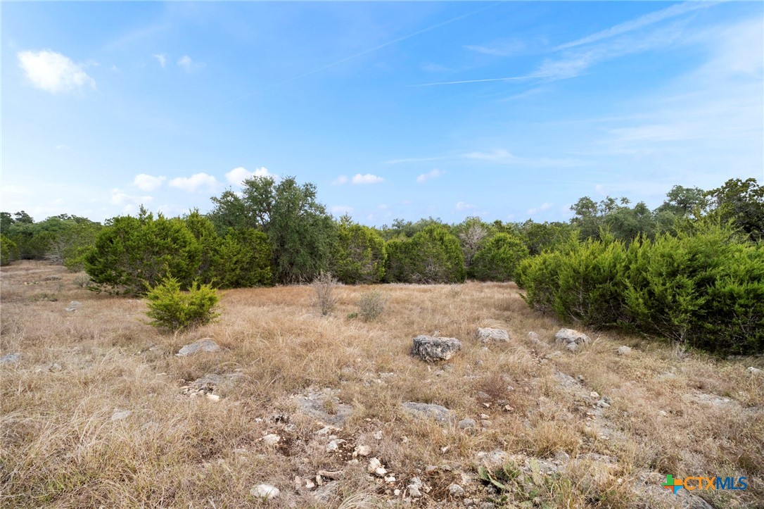137 Red Tail Cove
