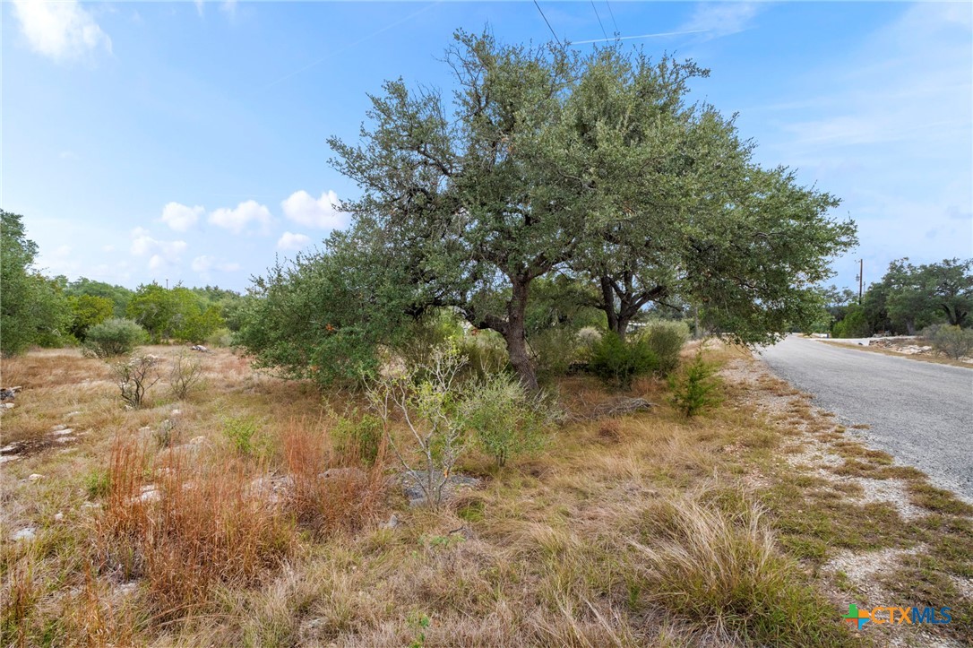 137 Red Tail Cove