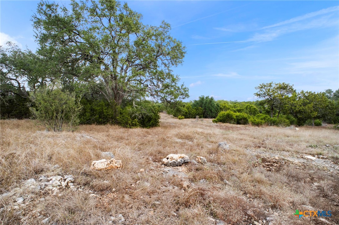 137 Red Tail Cove