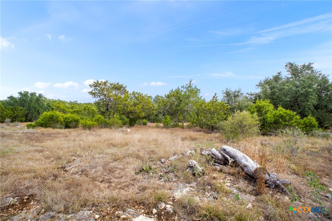 137 Red Tail Cove