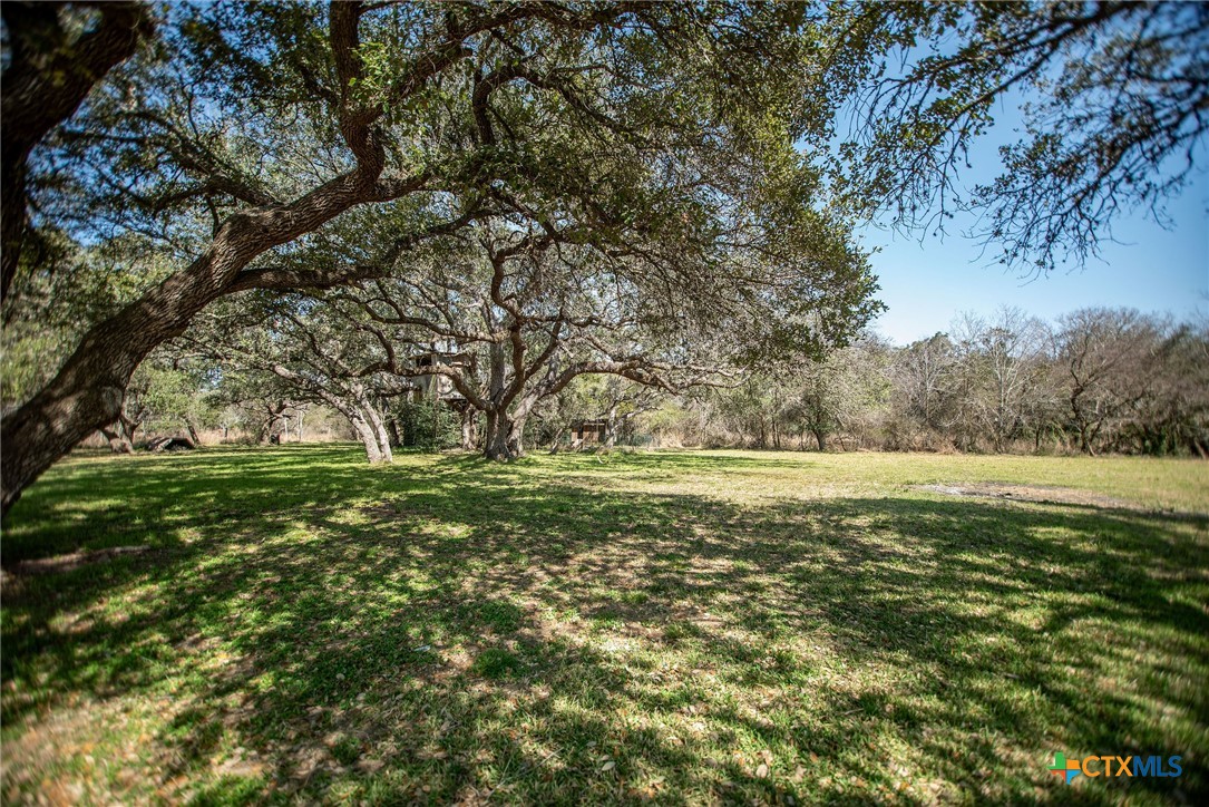 303 Garcitas Grove