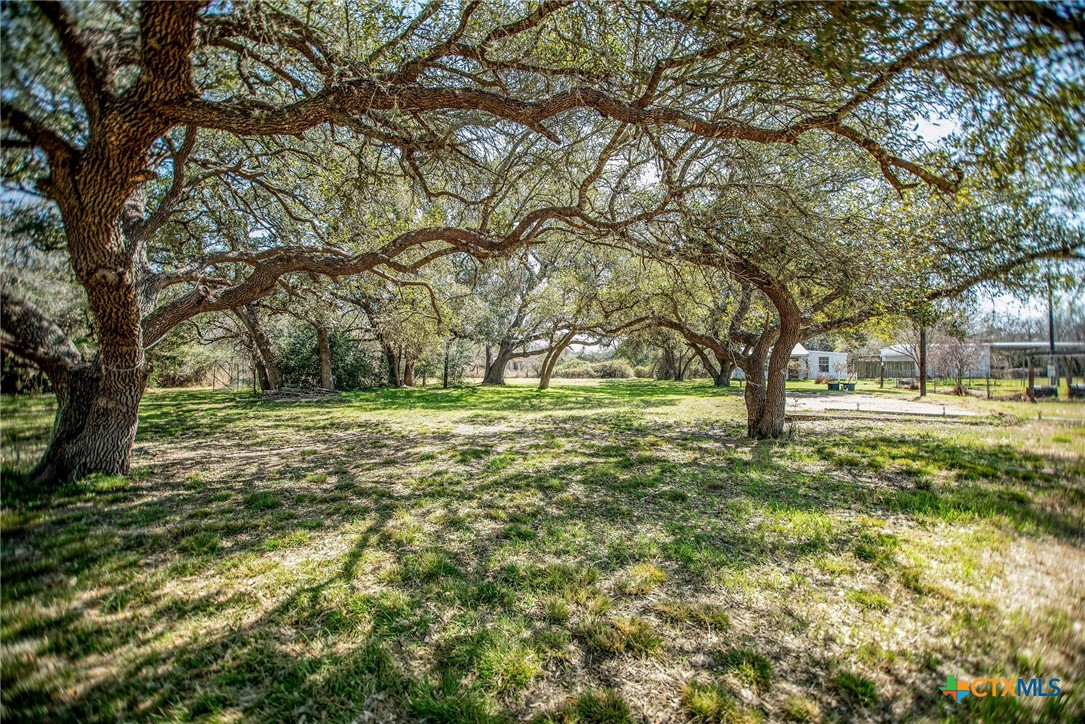 303 Garcitas Grove