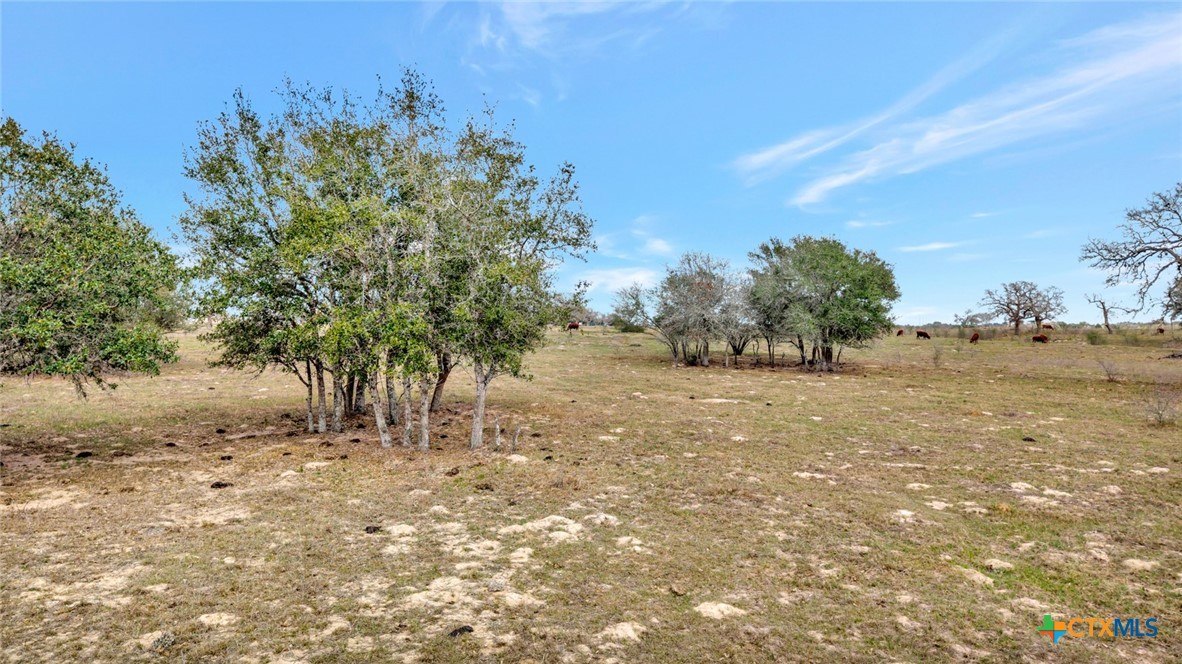 1103 Berger Road