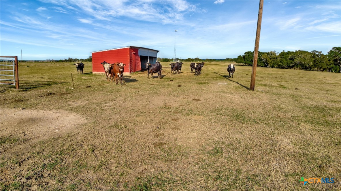 000 County Road 1