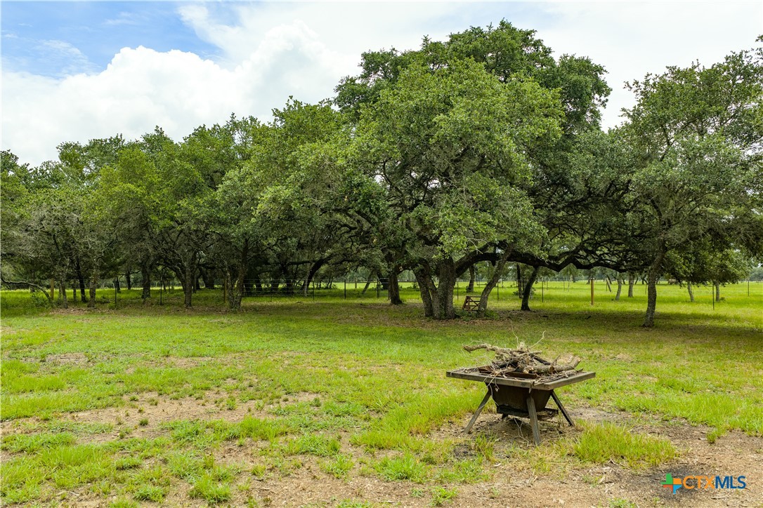 1291 County Road 157