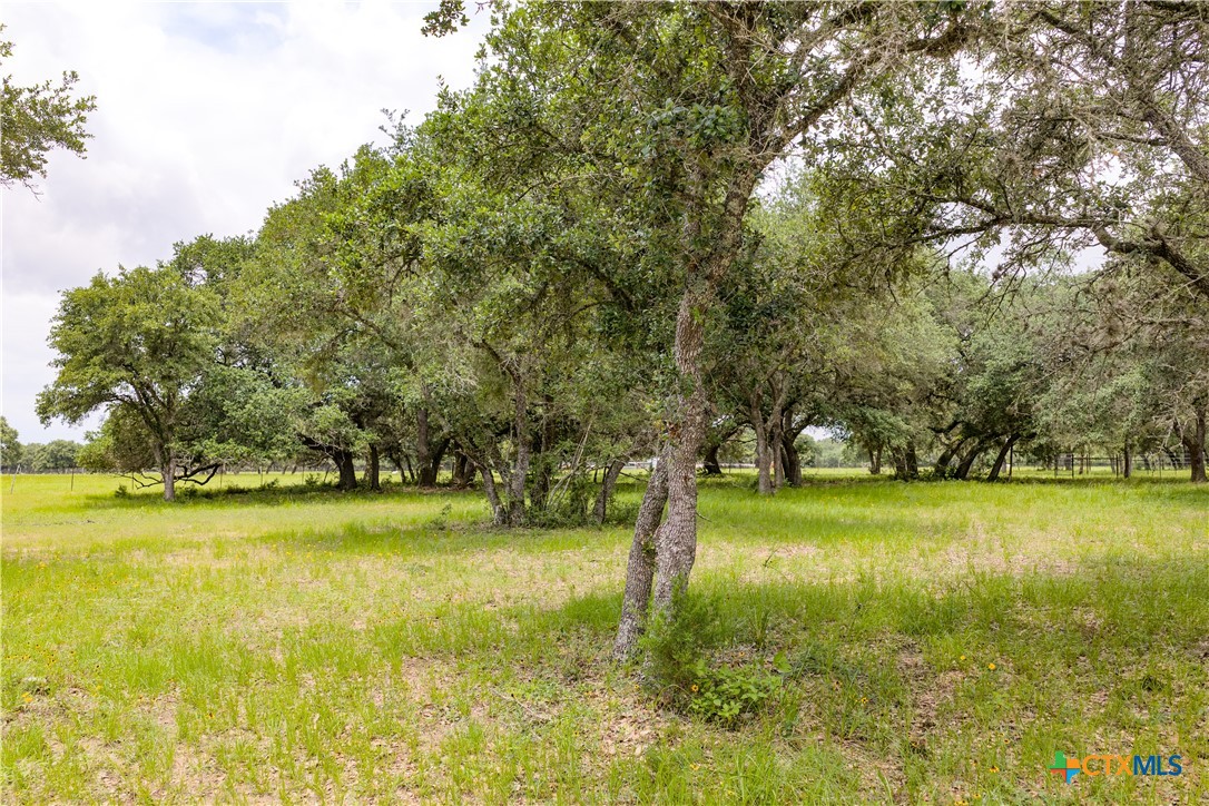 1291 County Road 157