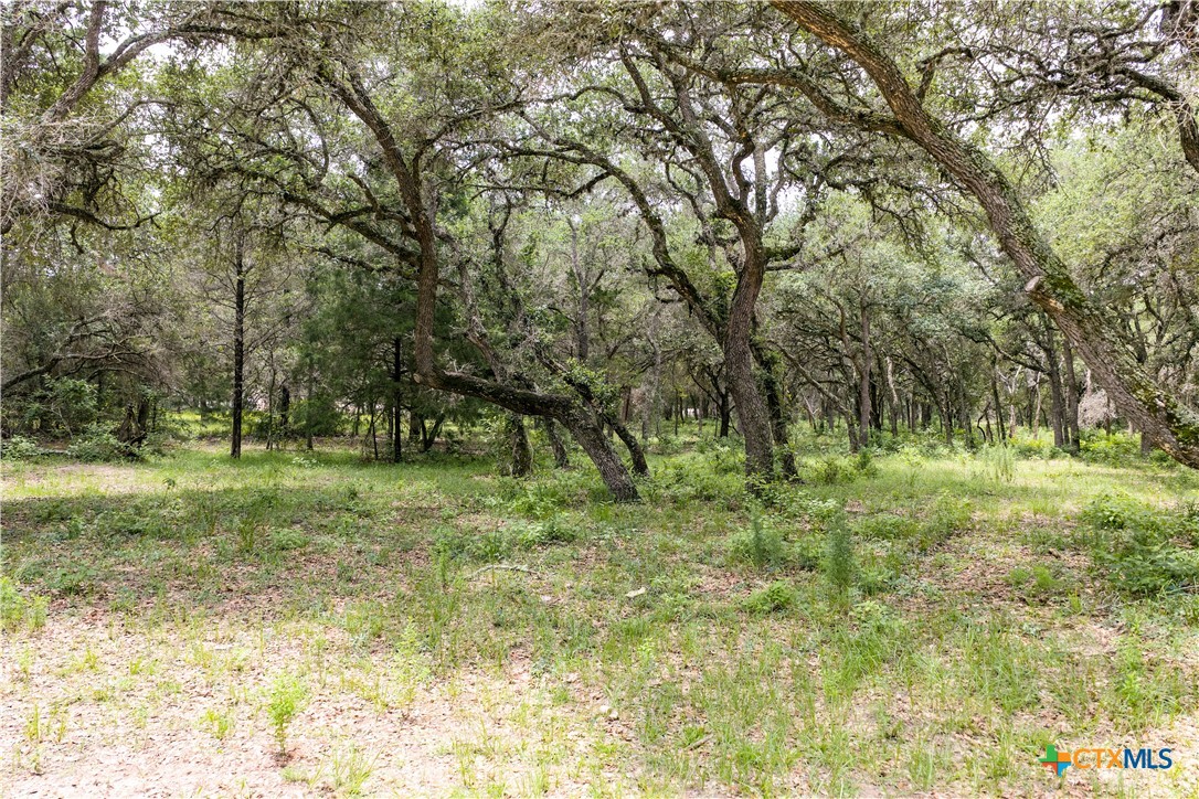 1291 County Road 157