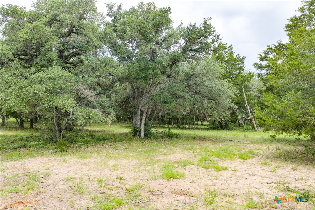 1291 County Road 157