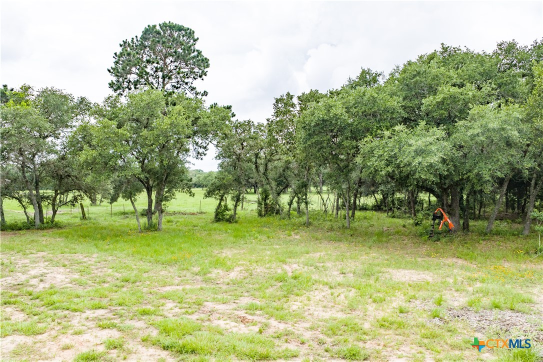 1291 County Road 157
