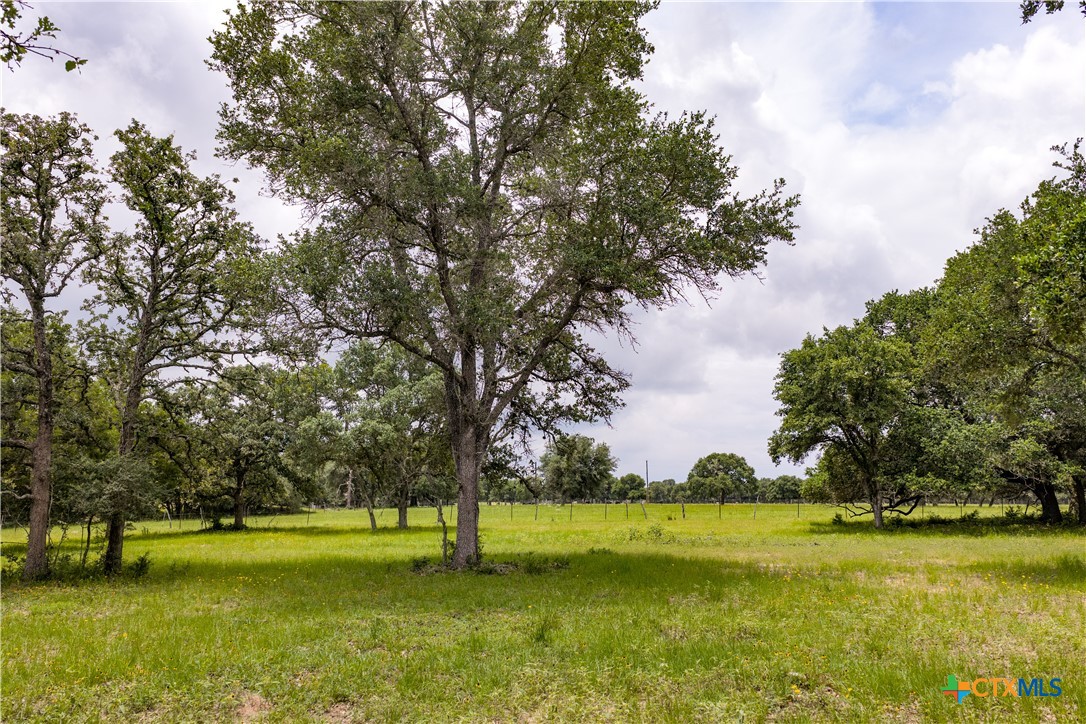 1291 County Road 157