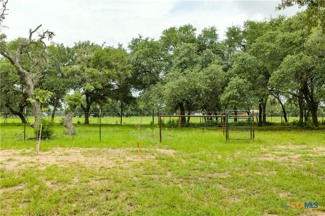 1291 County Road 157