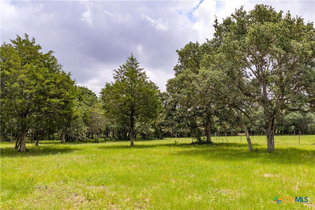 1291 County Road 157