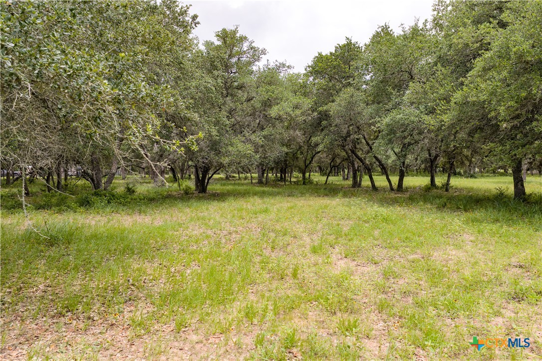 1291 County Road 157