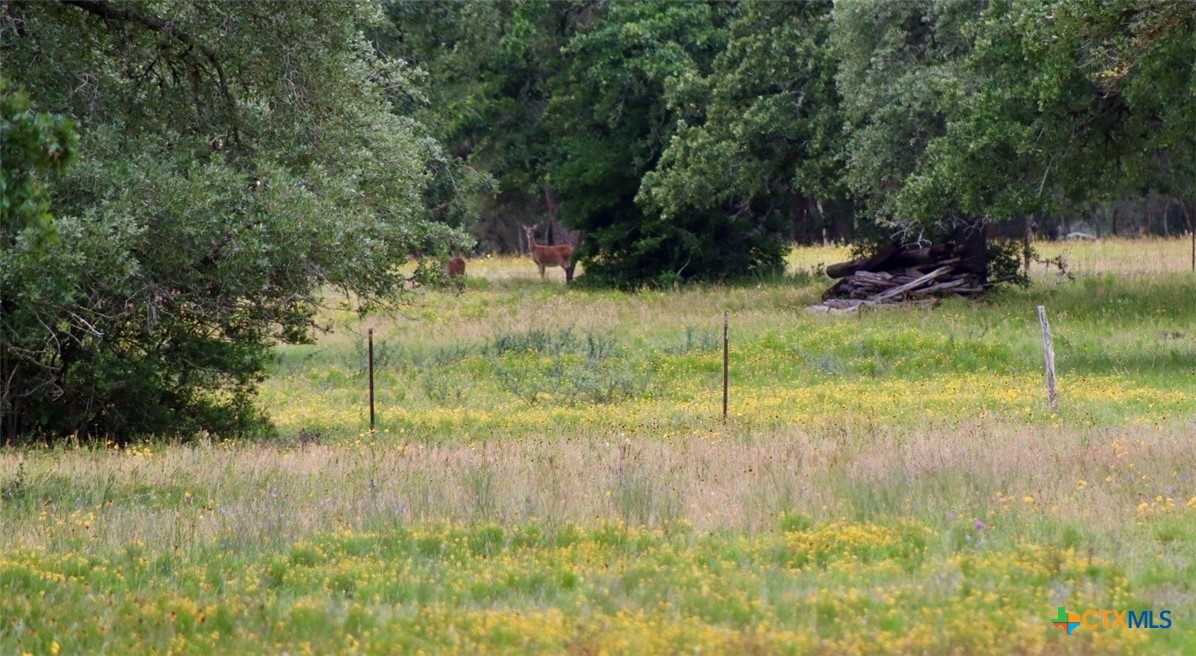 2035 County Road 400