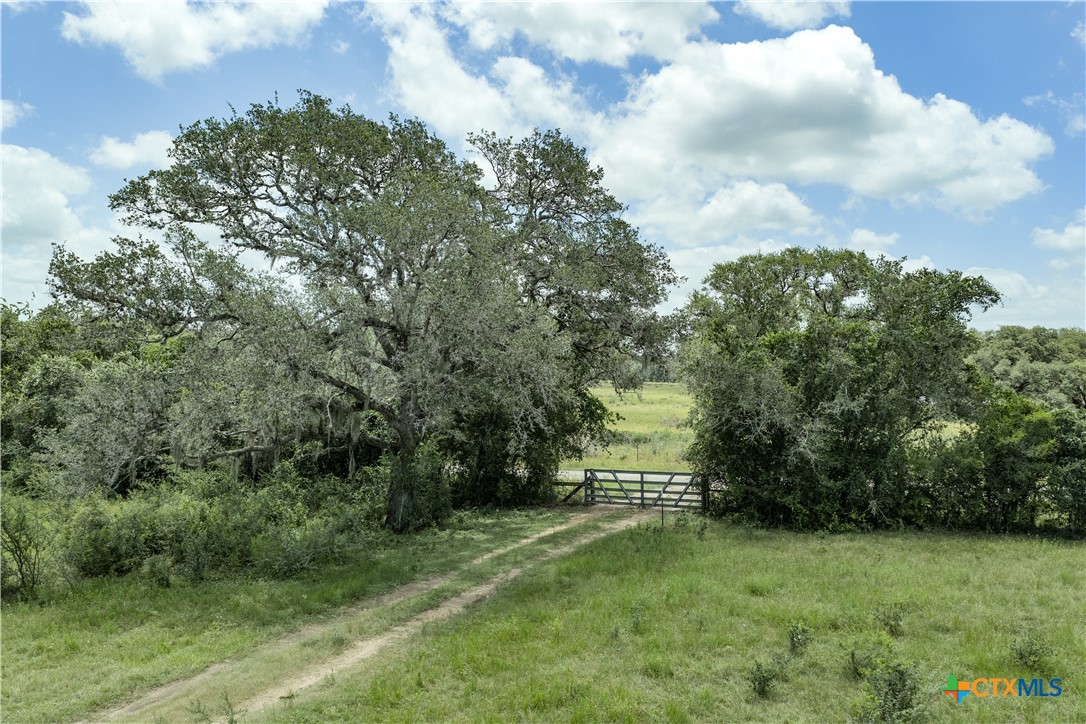 596 Hallemann Road