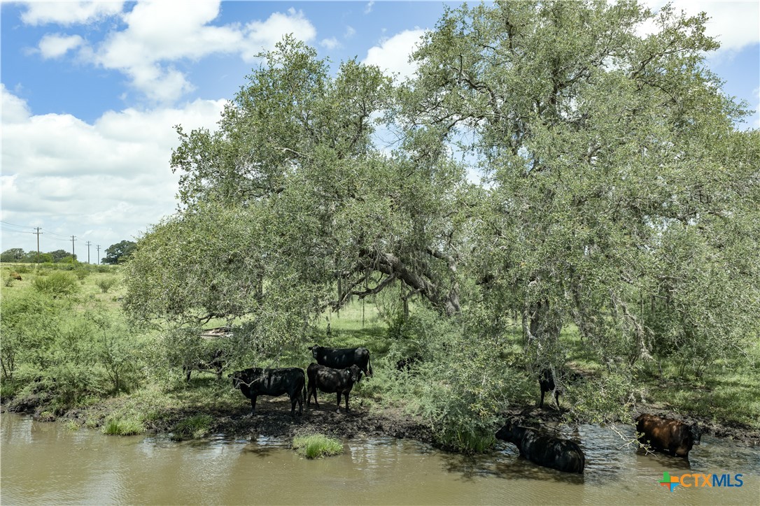 596 Hallemann Road