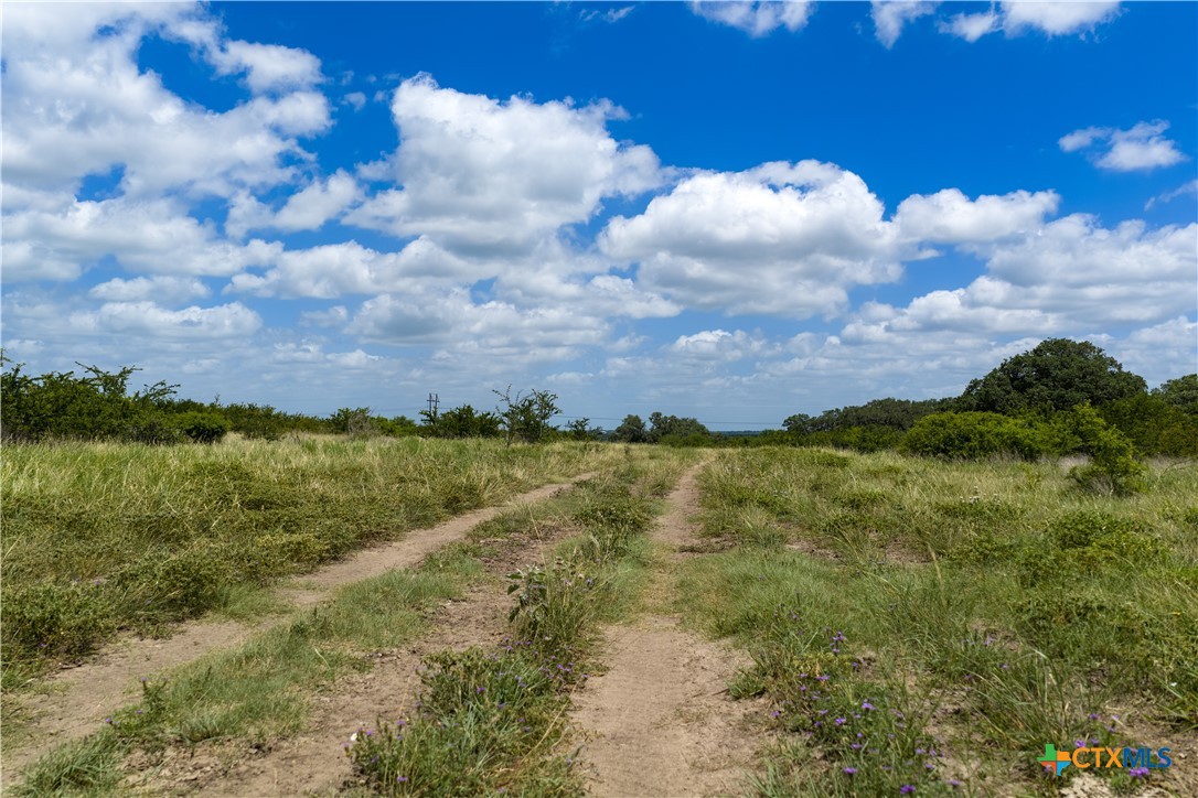 596 Hallemann Road