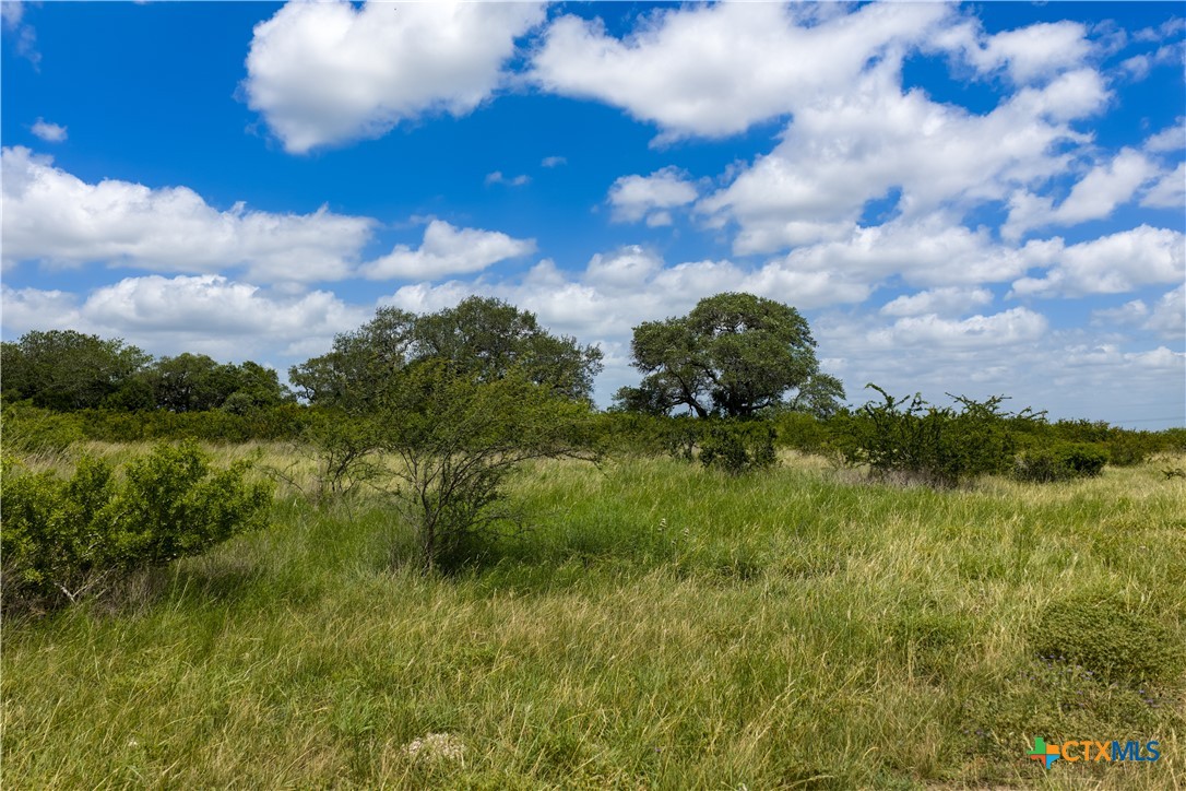 596 Hallemann Road