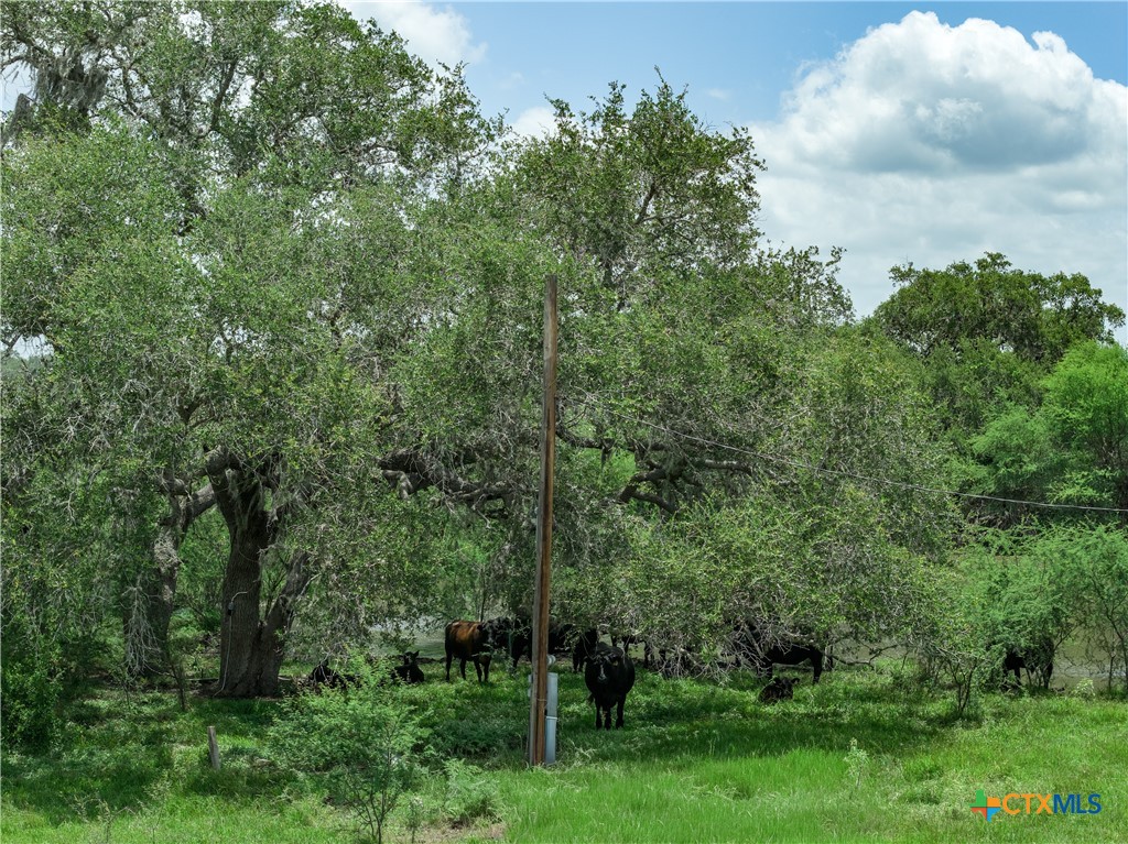 596 Hallemann Road