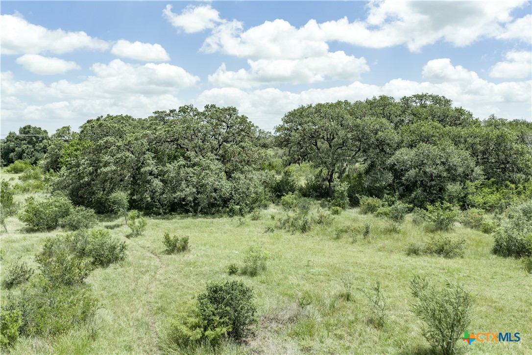 596 Hallemann Road