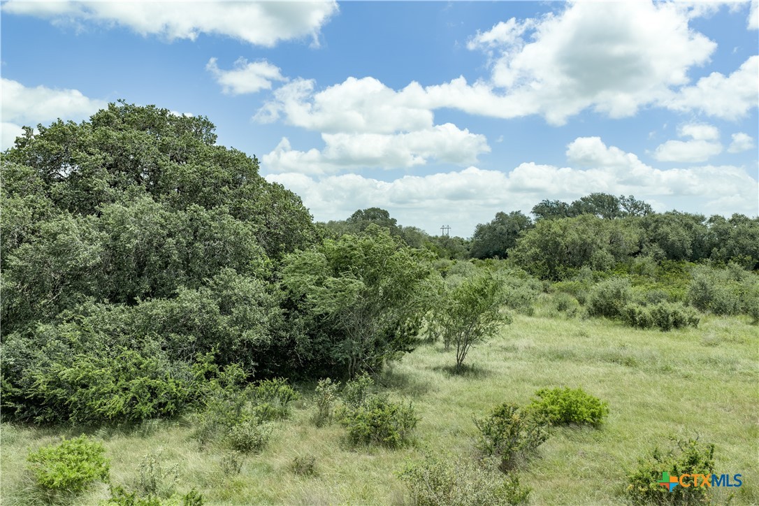 596 Hallemann Road