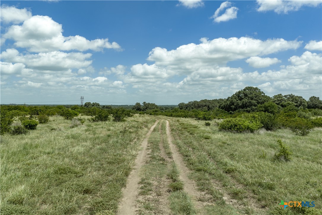 596 Hallemann Road