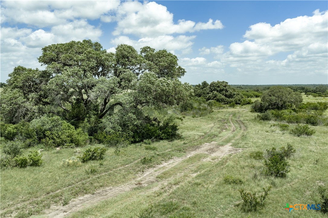 596 Hallemann Road